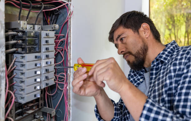 Best Electrical Repair Services  in Cortland West, NY